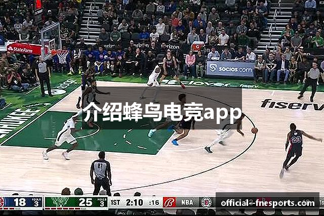 介绍蜂鸟电竞app